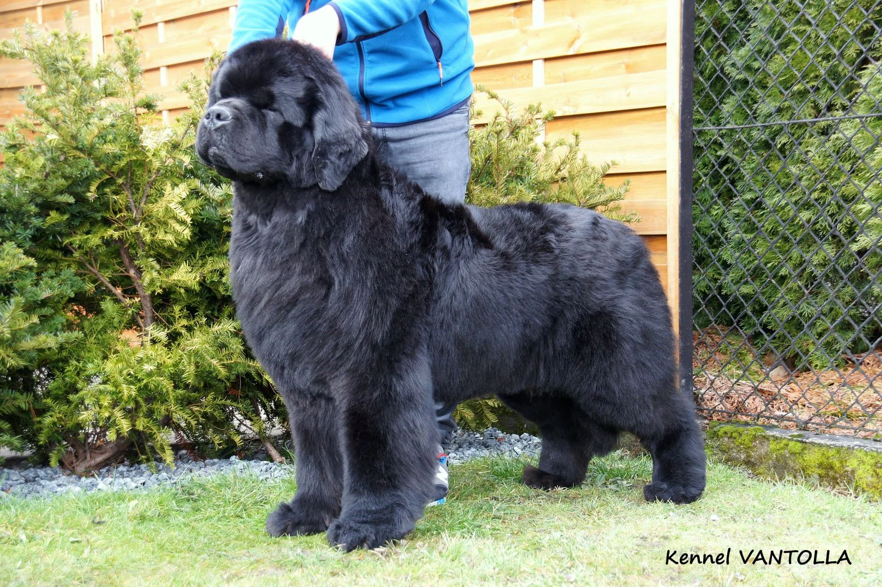 Hugoboss Vantolla Nuo Ozo Kalvu